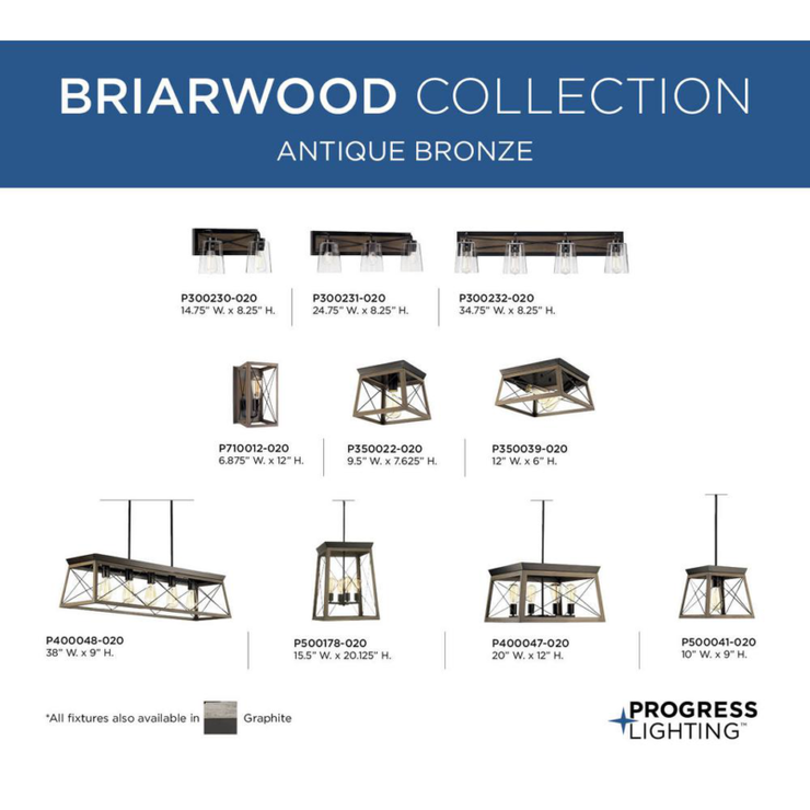 Briarwood Collection Two-light Flush Mount