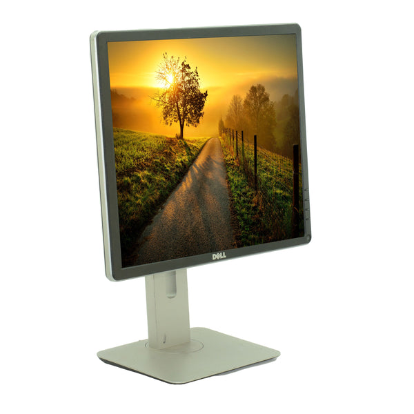 Dell P1914Sc 19 in IPS LED LCD Monitor