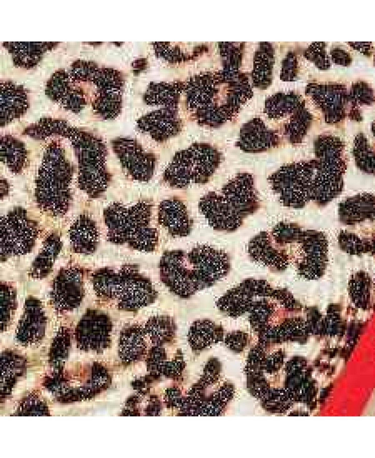 Cupshe Womens Wild and Daring Animal Print Bikini Set , Large