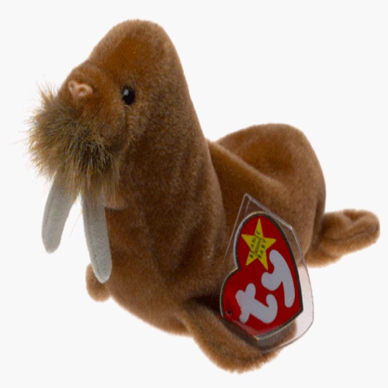 Ty Beanie Baby Paul the Walrus Plush With Multi Errors ‼️