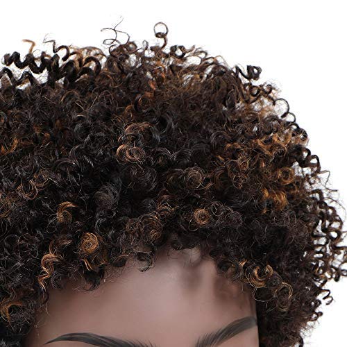 Ms Taj Short Afro Kinky Curly Human Hair Wigs for Black Women Brazilian Virgin S