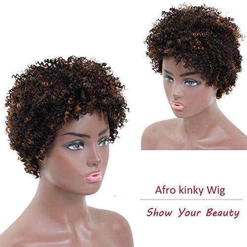 Ms Taj Short Afro Kinky Curly Human Hair Wigs for Black Women Brazilian Virgin S