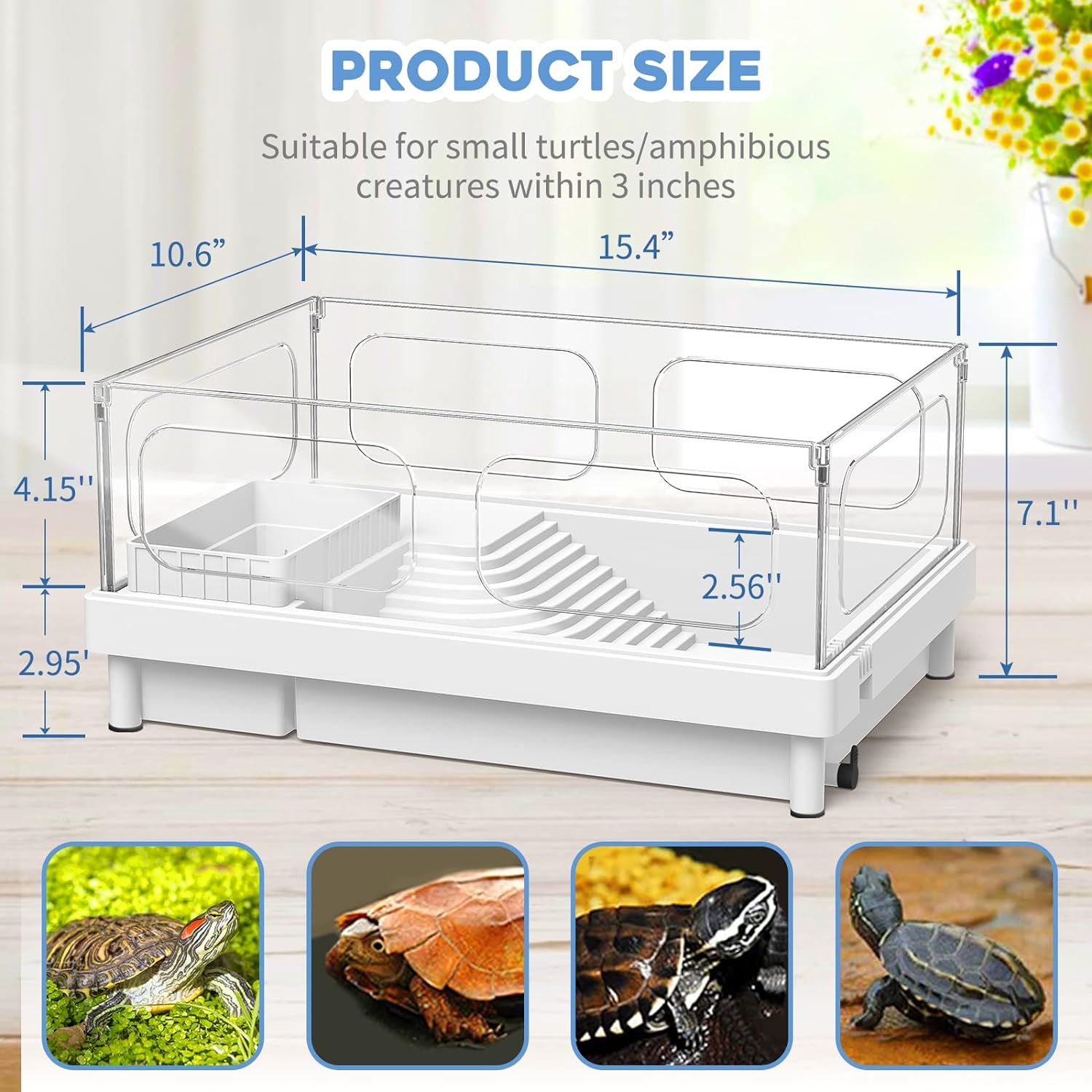 Moon Orange Small Turtle Tank Starter Kit