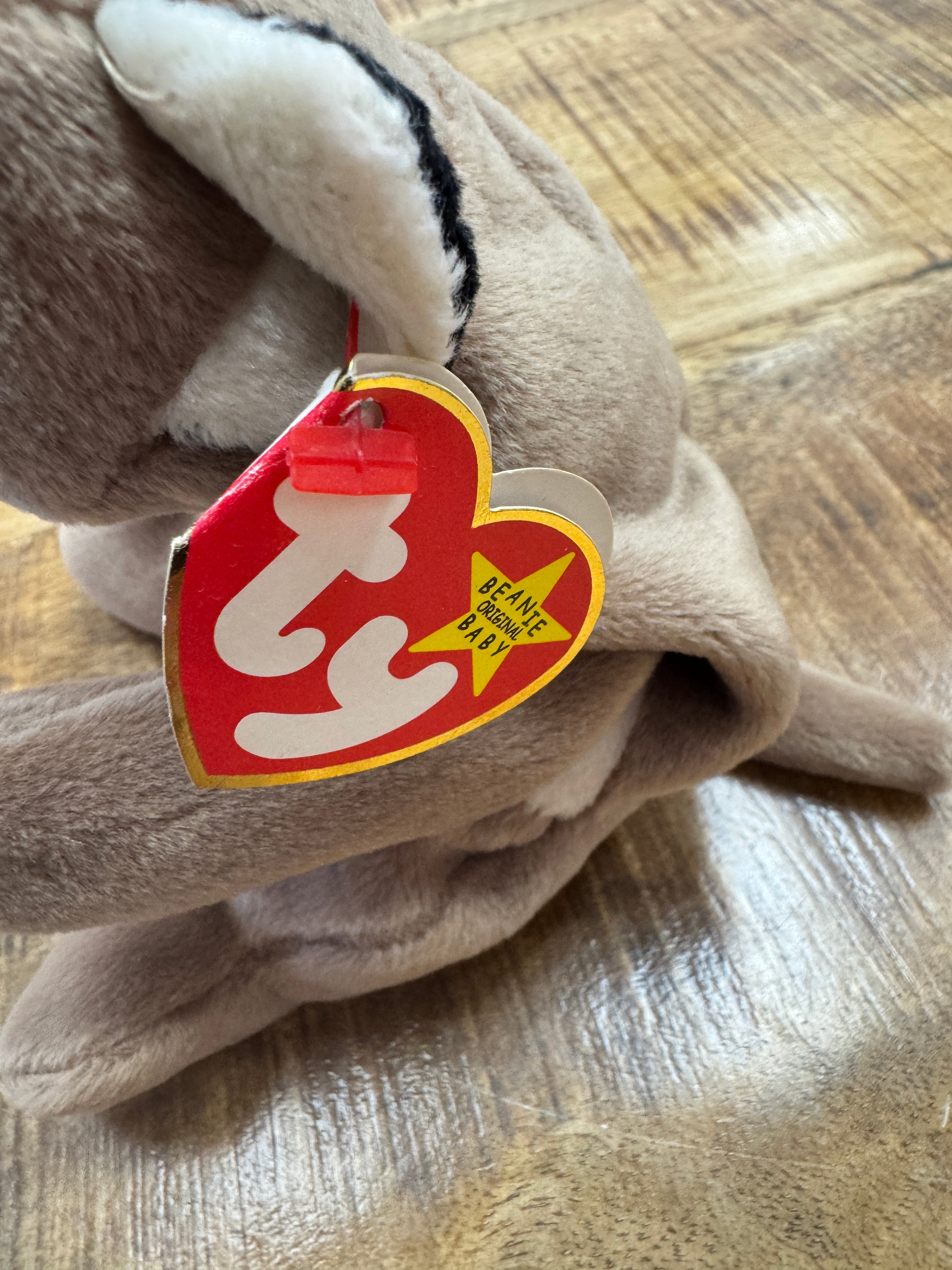 Ty Beanie Baby – Canyon the Cougar – Mint With Mint Tags Errors