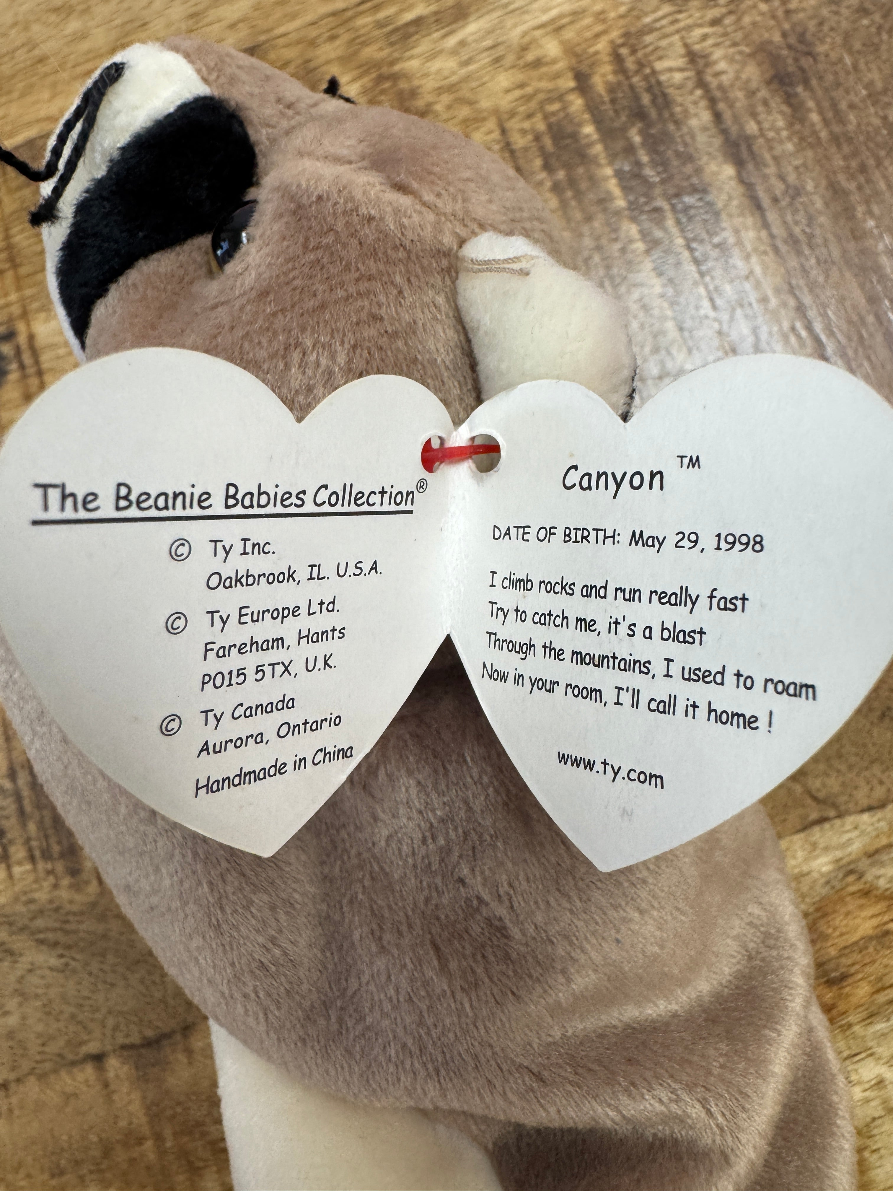 Ty Beanie Baby – Canyon the Cougar – Mint With Mint Tags Errors