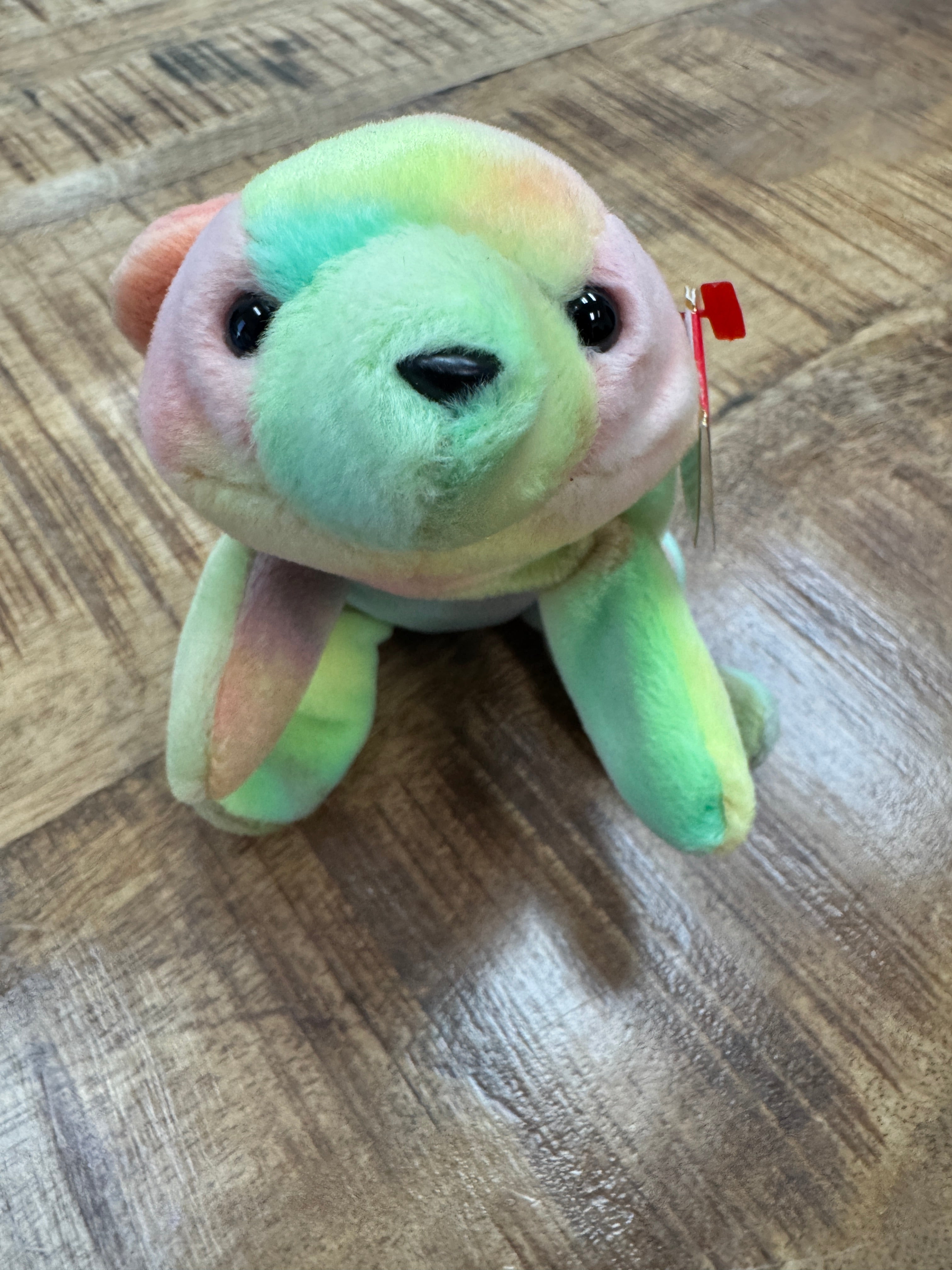 Ty Beanie Baby Babies 1998 / 1999 Sammy the Bear *Rare* With