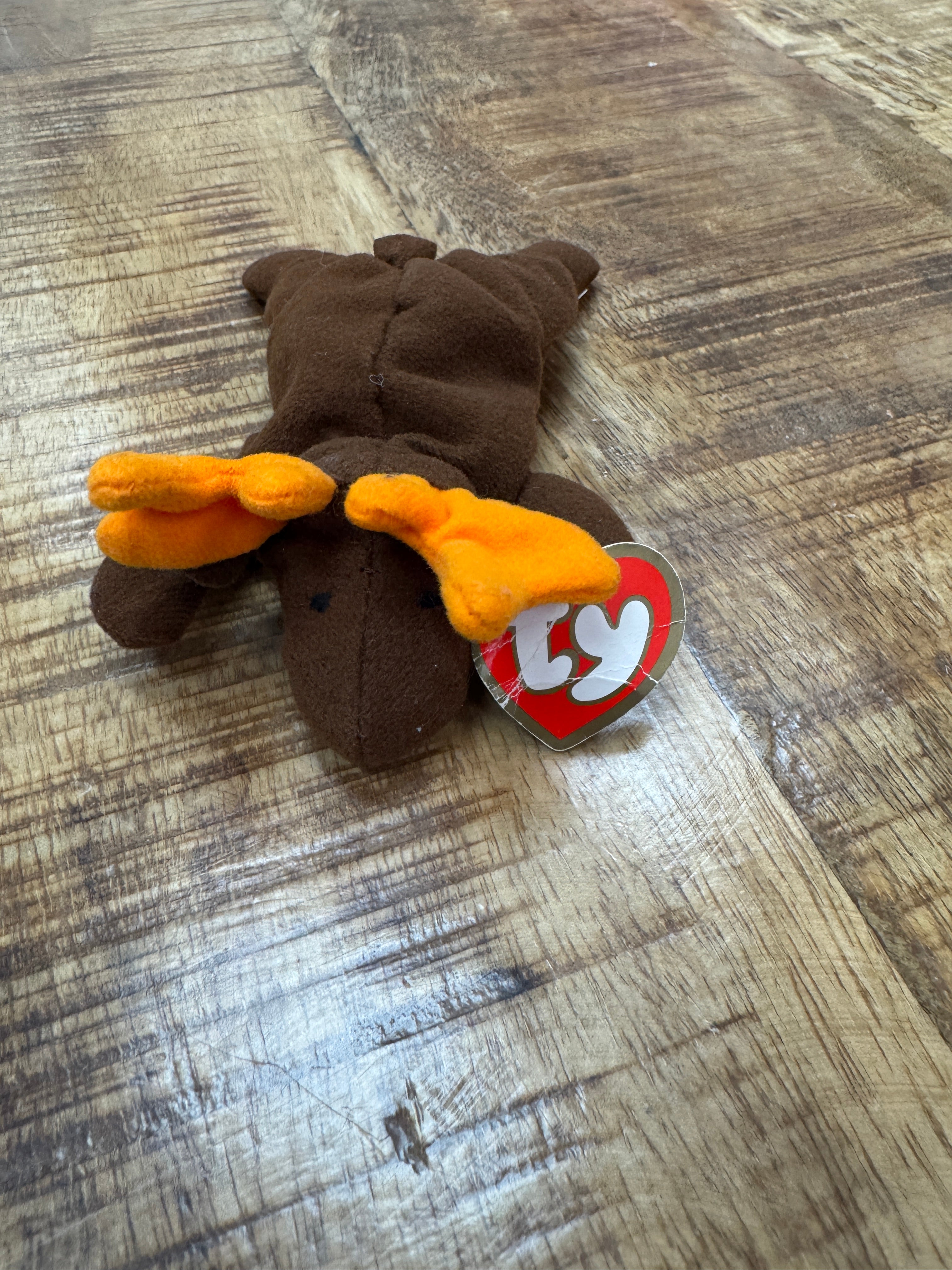 TY Beanie Baby Chocolate the Moose