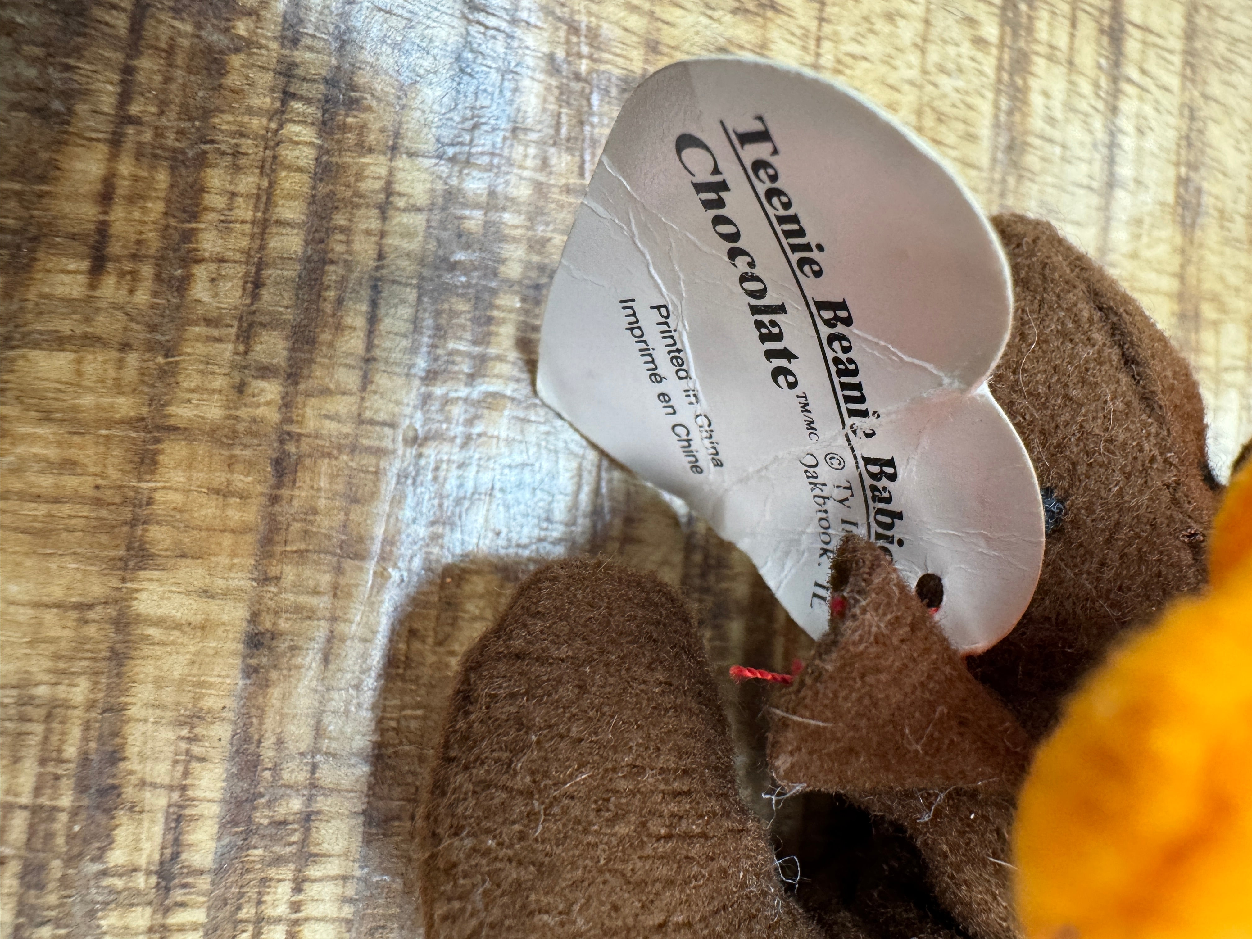 TY Beanie Baby Chocolate the Moose
