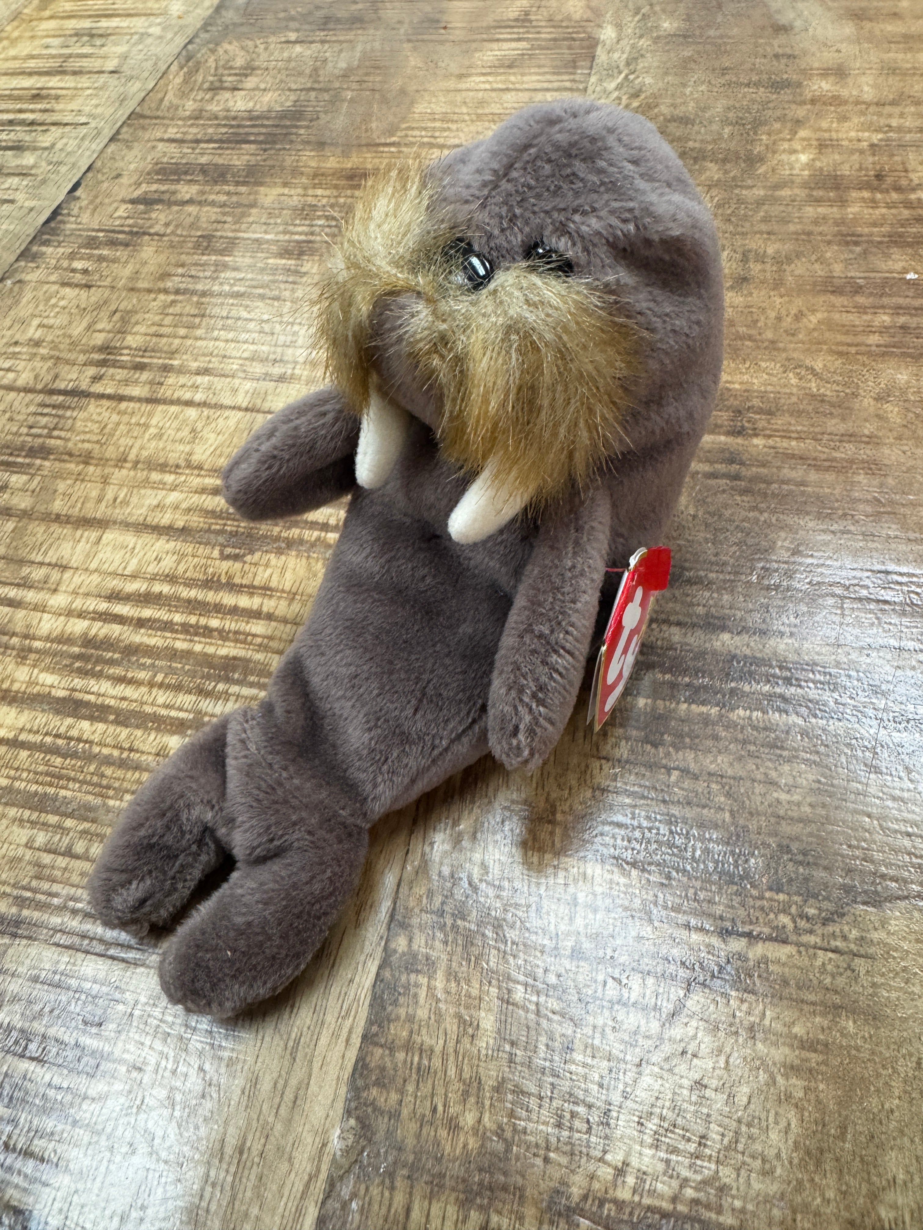 RARE VINTAGE TY Beanie Baby Jolly The Walrus Retired 1996 With