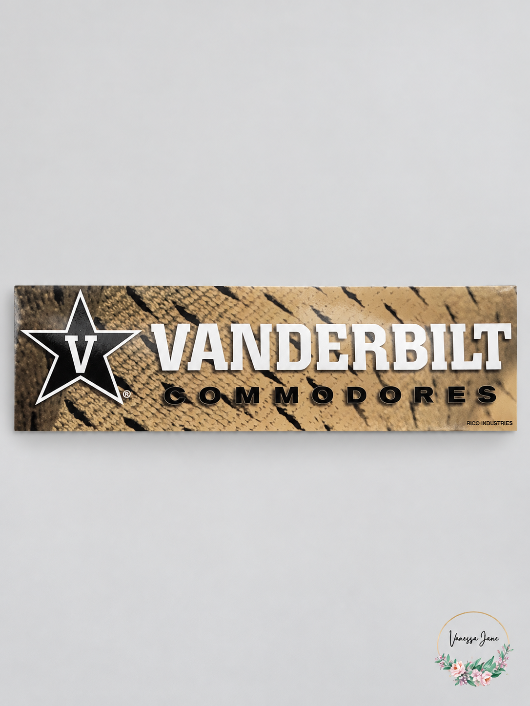 Rico Sports Car Auto Bumper Sticker, Choose Your Team – stock photo, Vanessa Jane