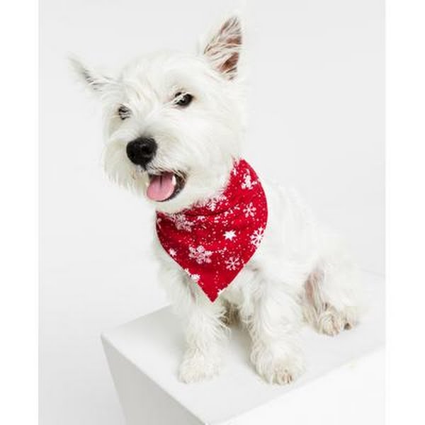 FAMILY PAJAMAS Matching Pet Merry Snowflake Bandana, Candy Red, S/M