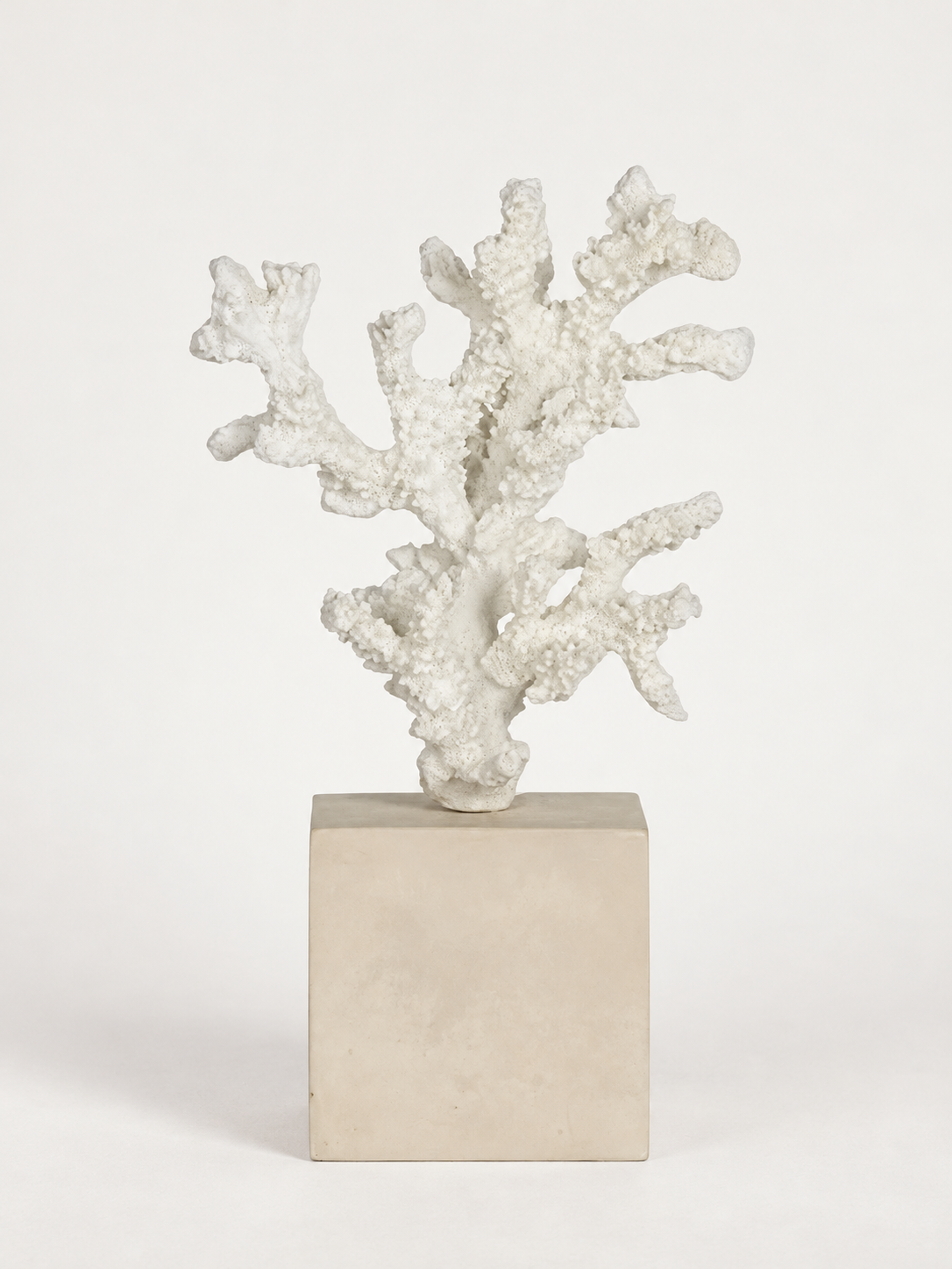 Flamant Arbol Resin Shell Stick Tree with Base