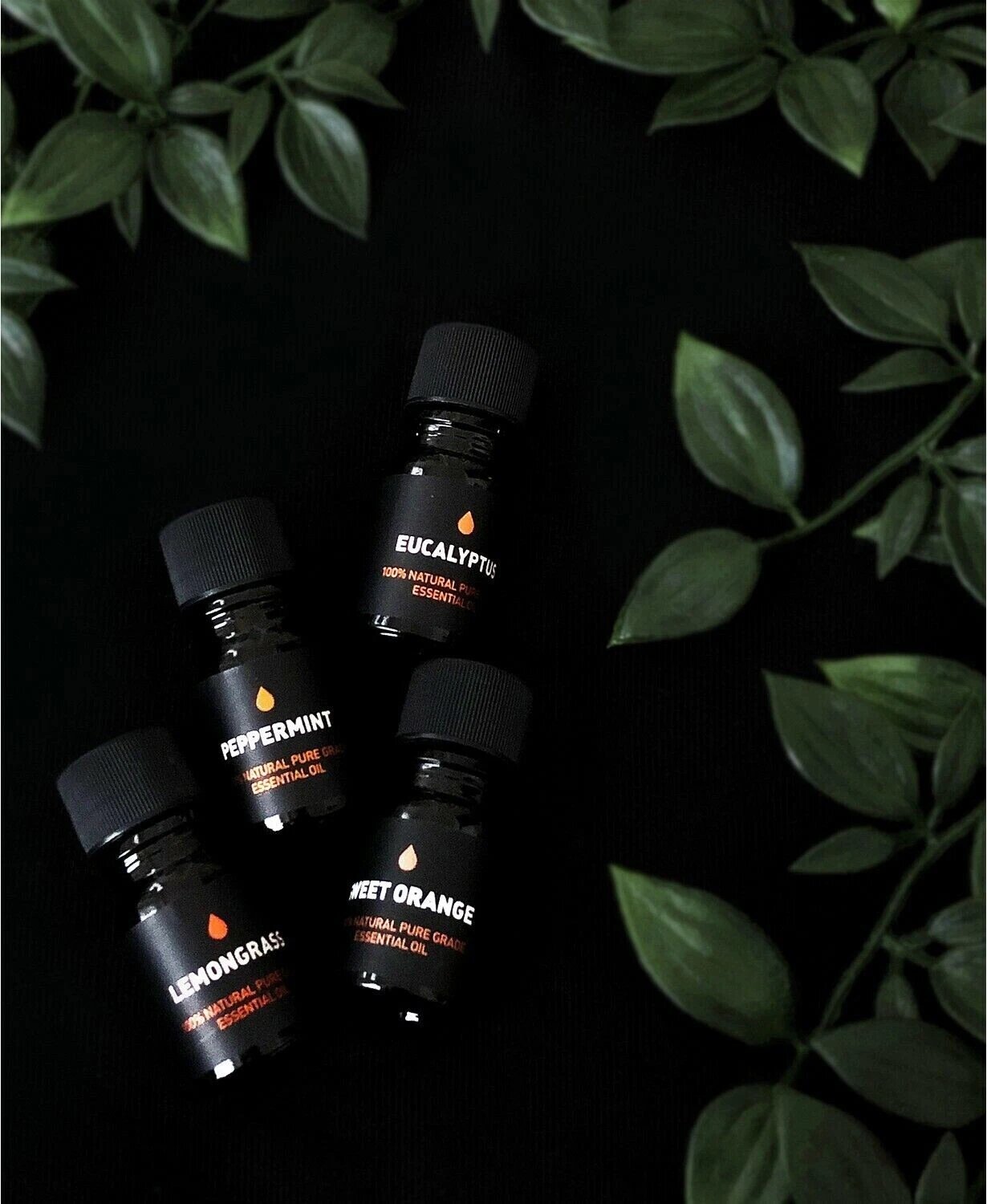 Way of Will 4-Pc. Elevate Essential Oil Gift Set Sealed