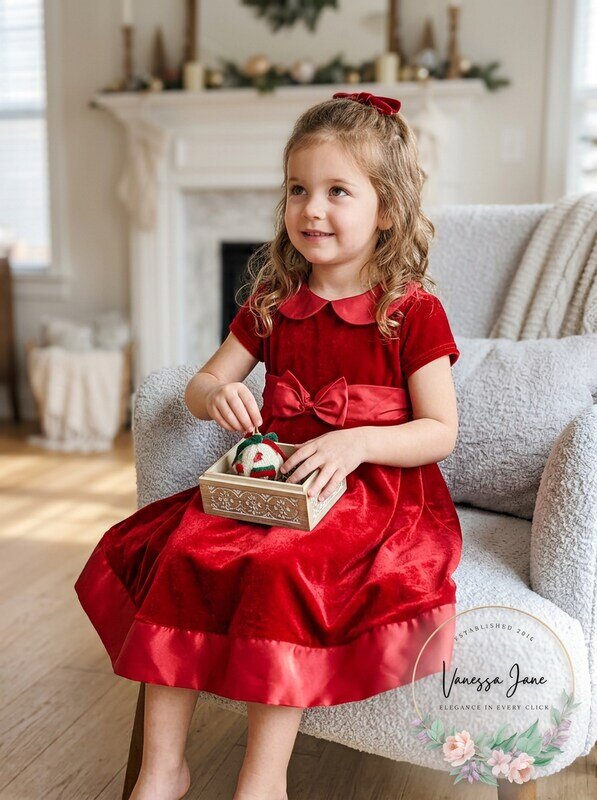Good Lad of Philadelphia Girls Red Velvet Holiday Dress, Size 4