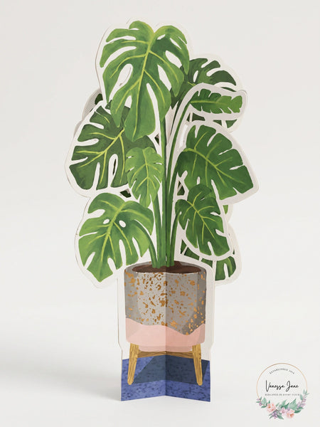 Seltzer Goods Monstera Paper Plant