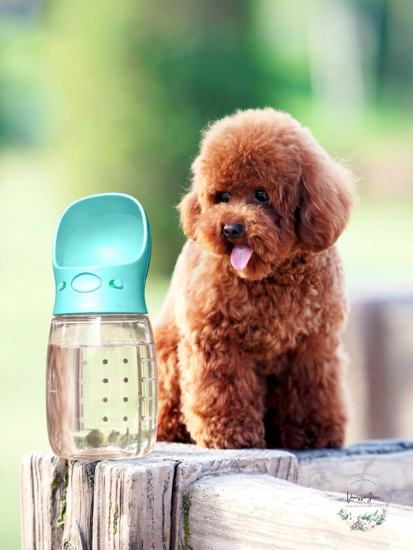 MalsiPree Dog Water Bottle, Leak Proof Portable Puppy Dispenser, 12 oz Blue