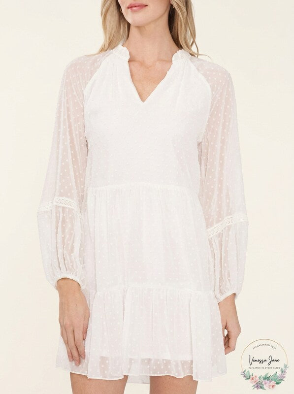 CeCe Womens Long Sleeve V-Neck Ruffled Clip-Dot Dress, Large
