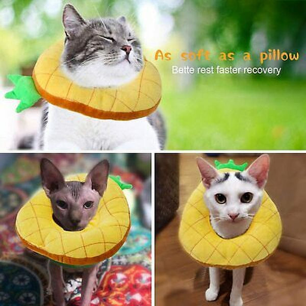 Hylyun Cat/Dog Recovery Collar – Cute Sun Flower Neck Cone