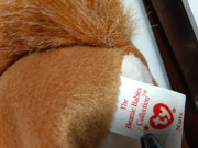 Nuts the Squirrel Beanie Baby ERRORS 9+ VERY RARE Retired 4114 TY 1996 PVC