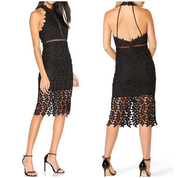 Bardot Gemma Halter Lace Sheath Dress, Size 6