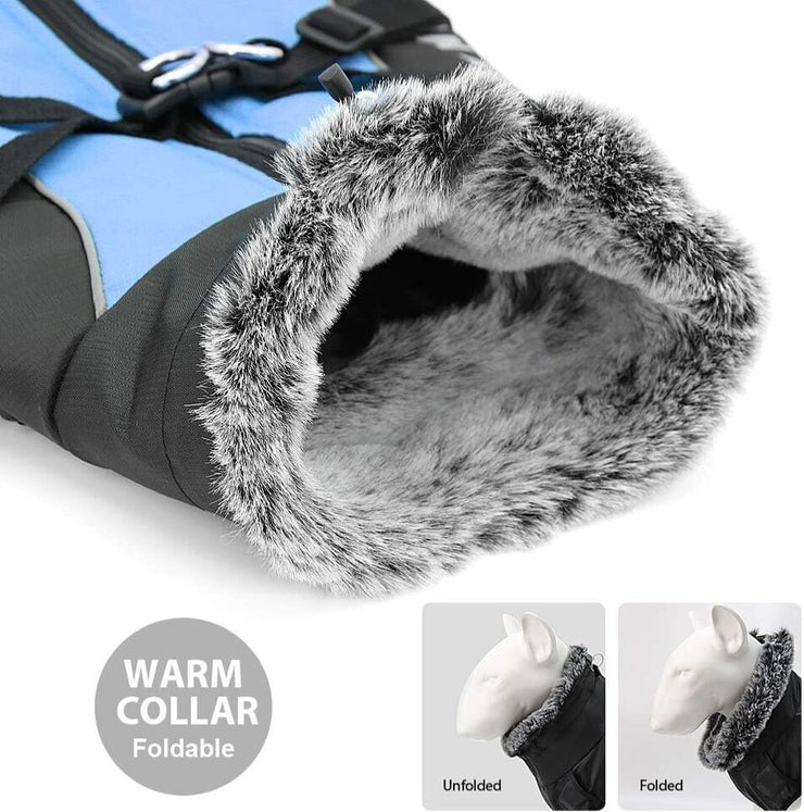 Didog Waterproof Dog Winter Jacket Coat Chest 30” Back24