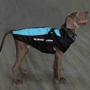 Didog Waterproof Dog Winter Jacket Coat Chest 23” Back 19” 20-30lbs Blue 2XL