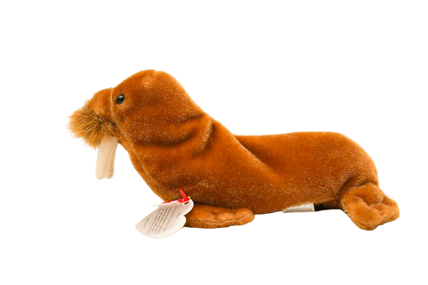 Ty Beanie Baby Paul the Walrus Plush With Multi Errors ‼️