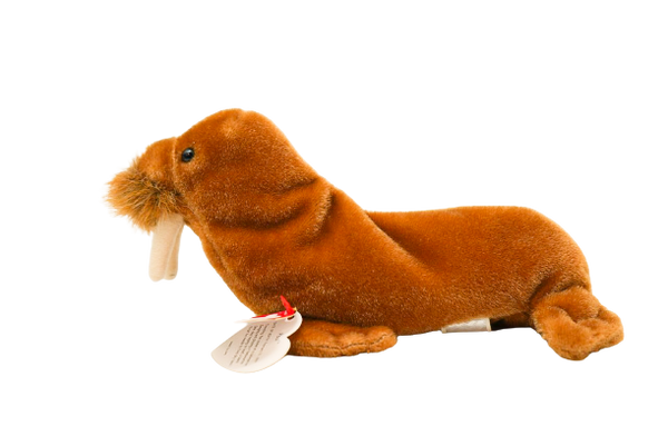 Ty Beanie Baby Paul the Walrus Plush With Multi Errors ‼️