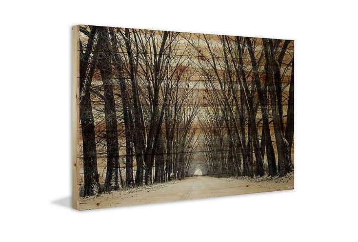 Parvez Taj Tree Path 45-Inch x 30-Inch Pine Wood Wall Art