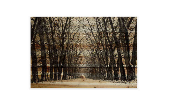 Parvez Taj Tree Path 45-Inch x 30-Inch Pine Wood Wall Art