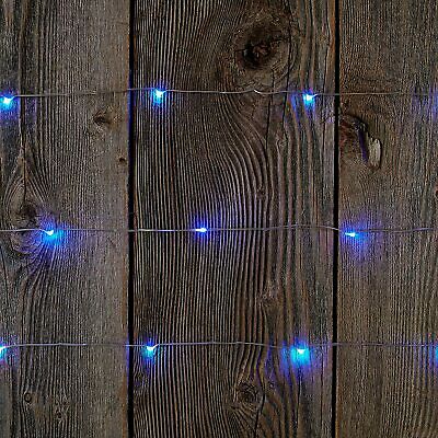 Tiny Lites Battery Operated Silver Wire Indoor Led Light String Blue 9.8-Ft