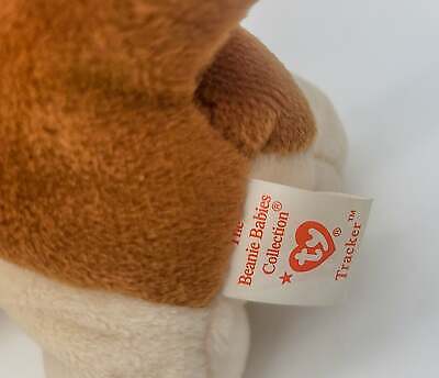 Ty Beanie Babies, Tracker the Basset Hound Dog 1997 – 11 Errors