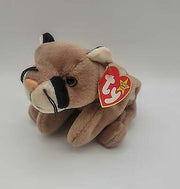 Ty Beanie Baby – Canyon the Cougar – Mint With Mint Tags Errors Rare 1998