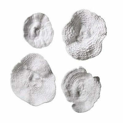 Uttermost Sea Coral Wall Art Set of 4