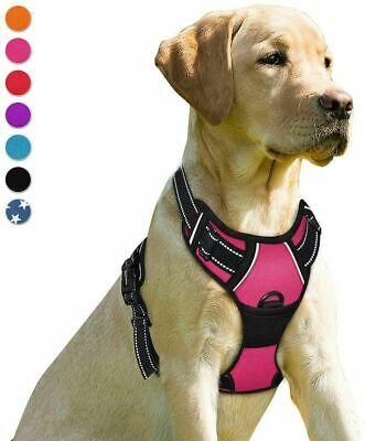 Barkbay No Pull Dog Harness Front Clip Heavy Duty Reflective, Pink, XL
