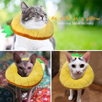 Hylyun Cat Recovery Collar – Cute Sun Flower Neck Cat Cones After Surgery, Adjus