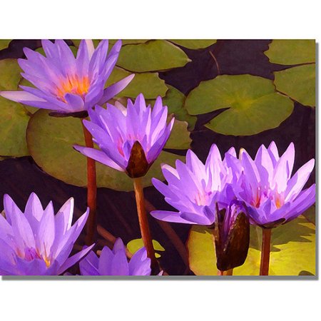 Trademark Fine Art Water Lilies Canvas Wall Art by Amy Vangsgard