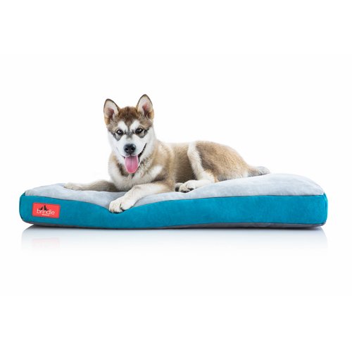 Brindle Soft Orthopedic Pillow Cat & Dog Bed w/Removable Cover, Teal, 28 x 18 In