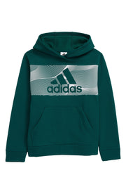Adidas Kids Ctn Event21 Pullover Hoodie in Green