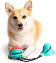 Hello Puppy Dog Chew - Puppy Dog Training Treats Teething Rope