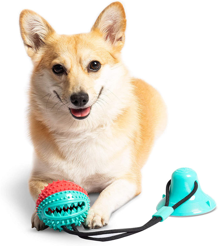 Hello Puppy Dog Chew - Puppy Dog Training Treats Teething Rope