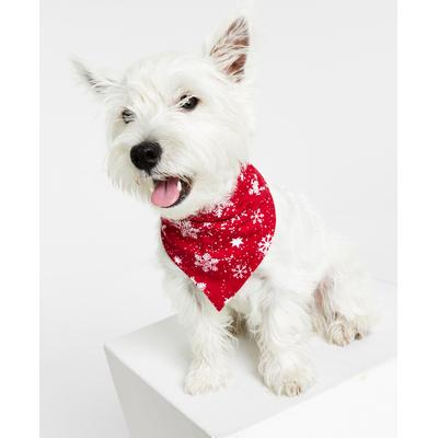 FAMILY PAJAMAS Matching Pet Merry Snowflake Bandana, Candy Red, S/M