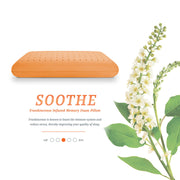 SensorPEDIC Soothing Frankincense Infused Memory Foam Pillow