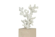 Flamant Arbol Resin Shell Stick Tree with Base