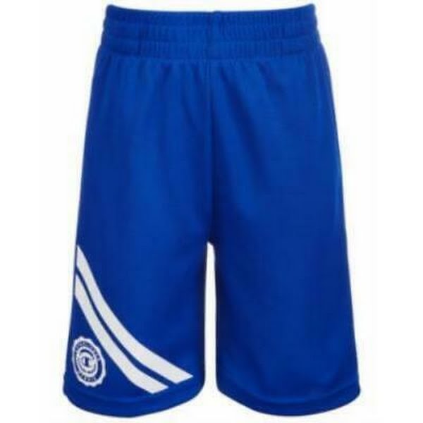 Champion Little Boys Crest Shorts