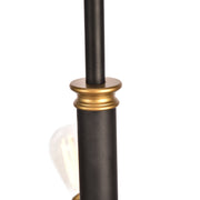 Elegant Lighting Axel 10 Light Chandelier in Black and Brass