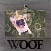 Sixtrees® Woof 4-Inch x 6-Inch Pallet Wood Clip Picture Frame in Grey