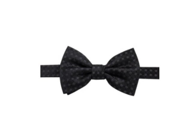 Ryan Seacrest Distinction Mens Boysen Pre-Tied Silk Bow Tie