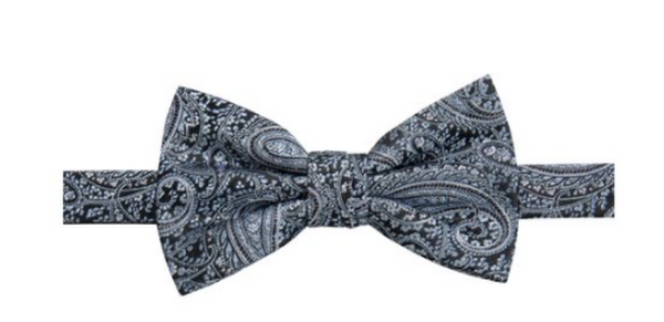 Ryan Seacrest Distinction Mens Zinnia Paisley Bow Tie