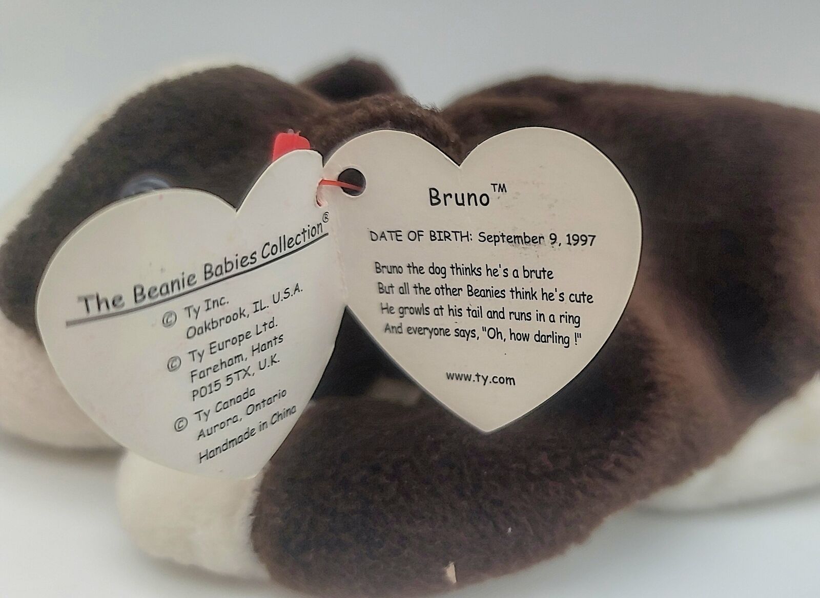 Ty Beanie Babies Bruno the Dog, With 10 Errors